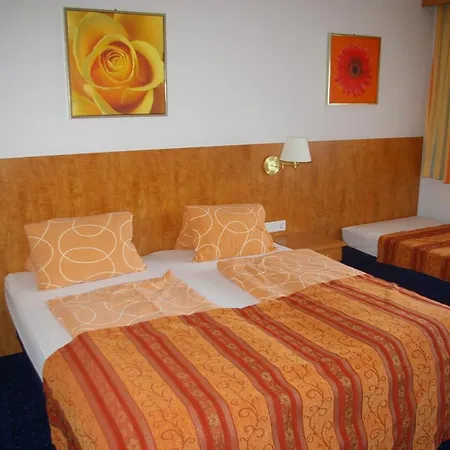 Tennenwirt ホテル ゼル