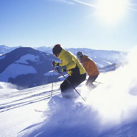 ホテル Tennenwirt 3*